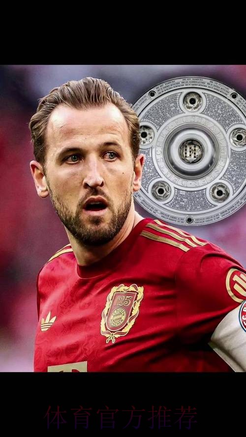 本届世界杯荷兰凯恩数据统计全面分析 本届世界杯荷兰凯恩数据统计全面分析